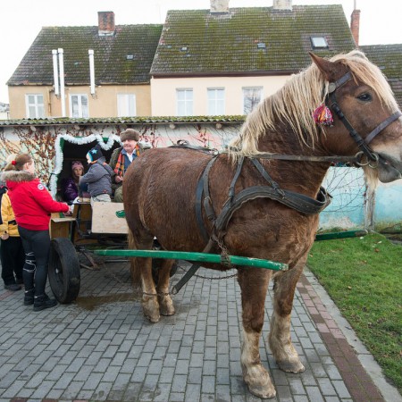 Wyświetl org. rozmiar