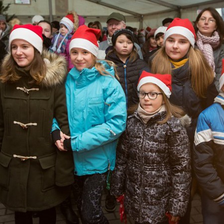 Wyświetl org. rozmiar