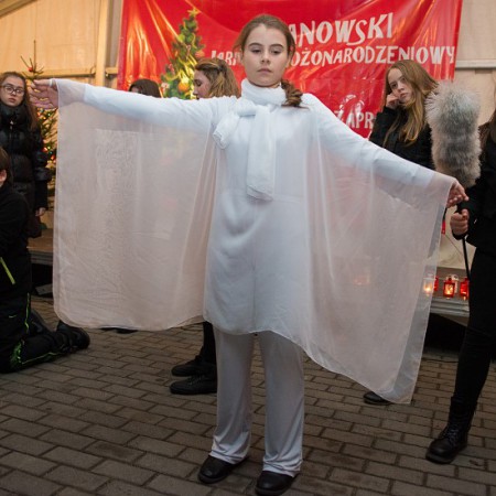 Wyświetl org. rozmiar