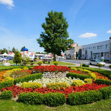 Wyświetl org. rozmiar