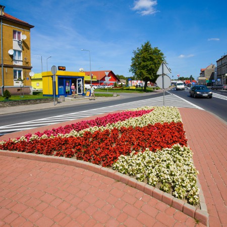 Wyświetl org. rozmiar