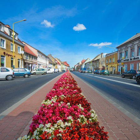 Wyświetl org. rozmiar