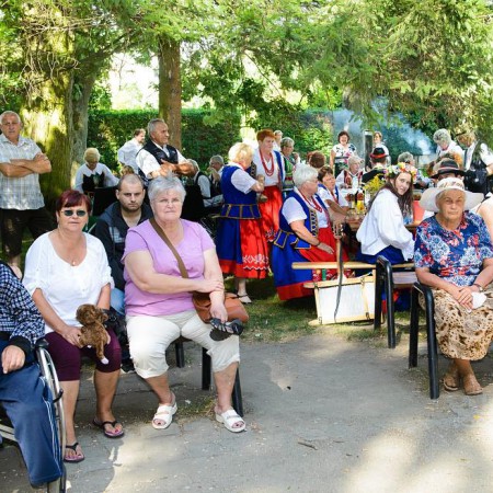 Wyświetl org. rozmiar