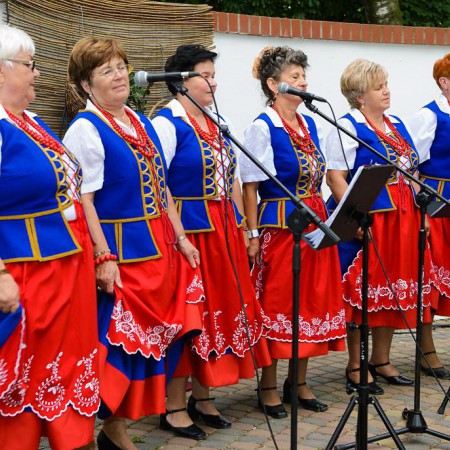 Wyświetl org. rozmiar