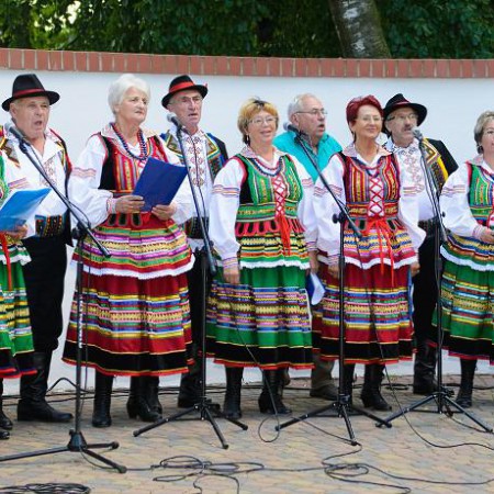 Wyświetl org. rozmiar