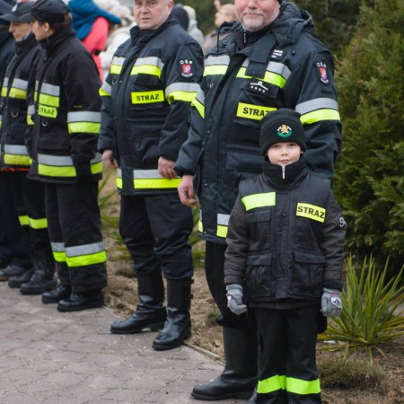 Wyświetl org. rozmiar