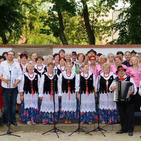 Wyświetl org. rozmiar