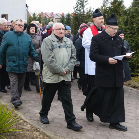 Wyświetl org. rozmiar