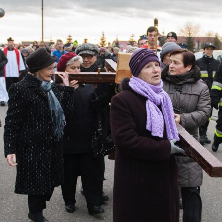 Wyświetl org. rozmiar