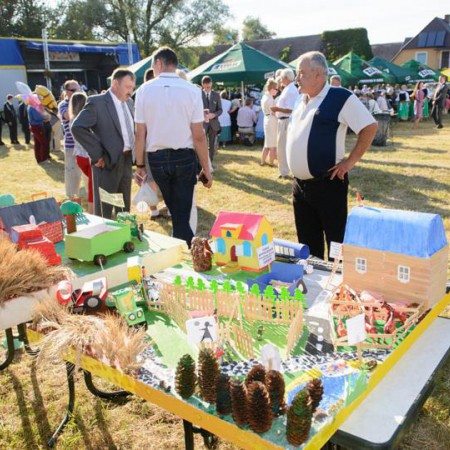 Wyświetl org. rozmiar