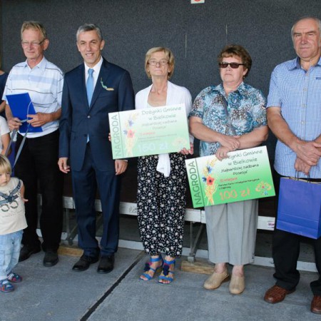 Wyświetl org. rozmiar