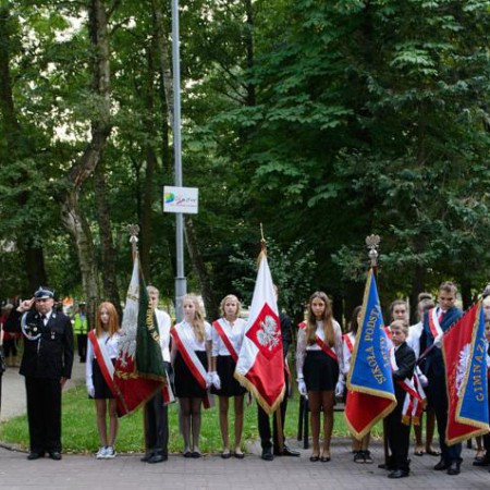 Wyświetl org. rozmiar