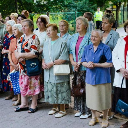Wyświetl org. rozmiar