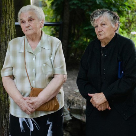 Wyświetl org. rozmiar
