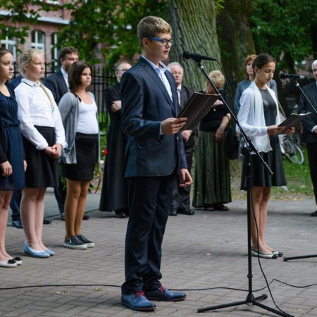 Wyświetl org. rozmiar