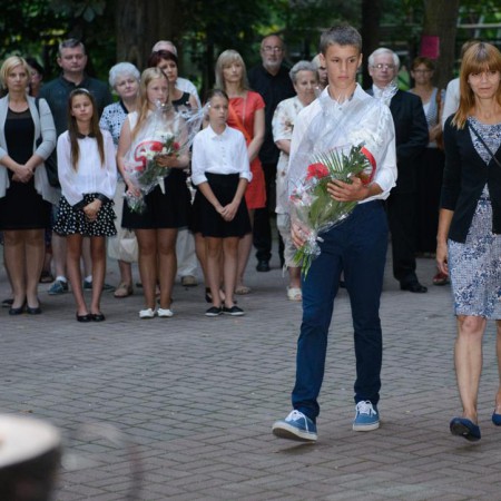 Wyświetl org. rozmiar