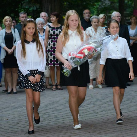 Wyświetl org. rozmiar