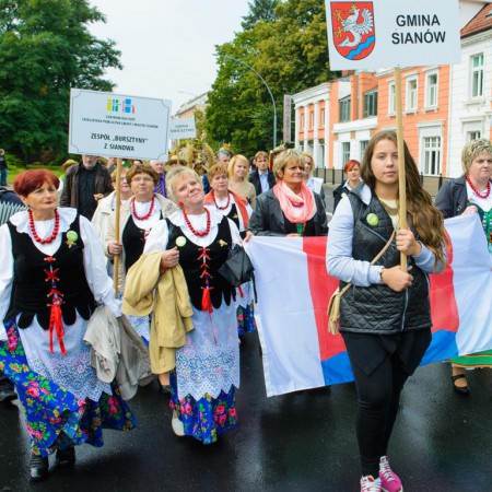 Wyświetl org. rozmiar