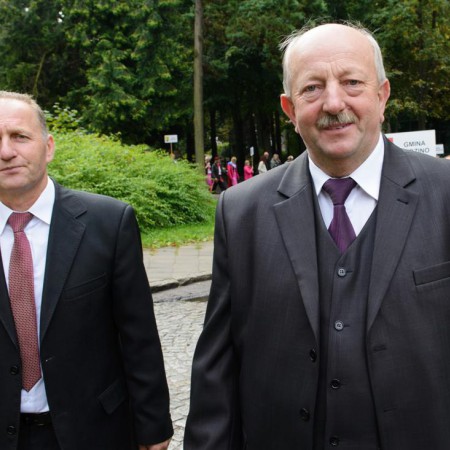 Wyświetl org. rozmiar