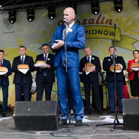 Wyświetl org. rozmiar