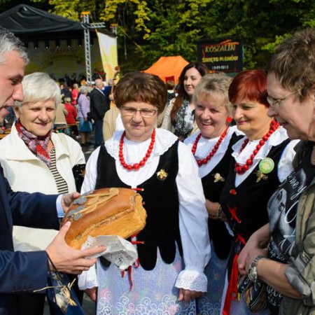 Wyświetl org. rozmiar