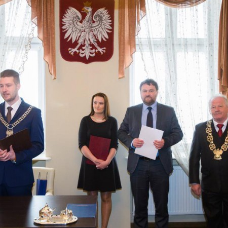 Wyświetl org. rozmiar