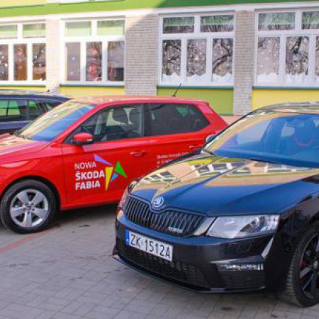 Wyświetl org. rozmiar