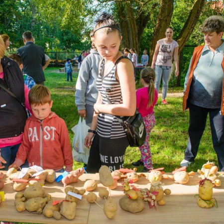 Wyświetl org. rozmiar
