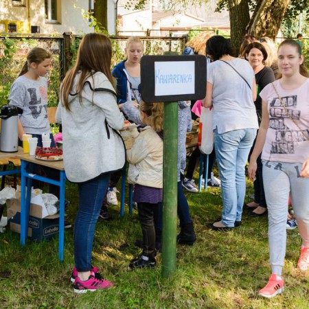 Wyświetl org. rozmiar