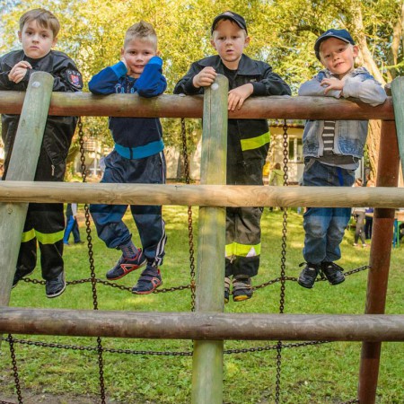 Wyświetl org. rozmiar
