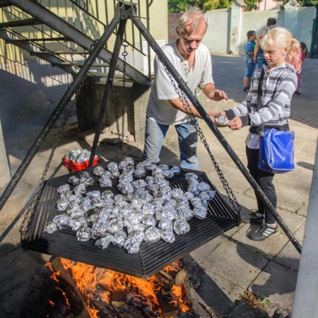 Wyświetl org. rozmiar