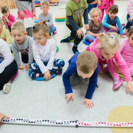 Wyświetl org. rozmiar