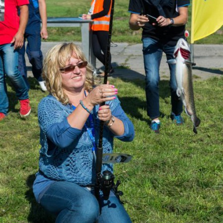 Wyświetl org. rozmiar