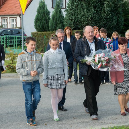Wyświetl org. rozmiar