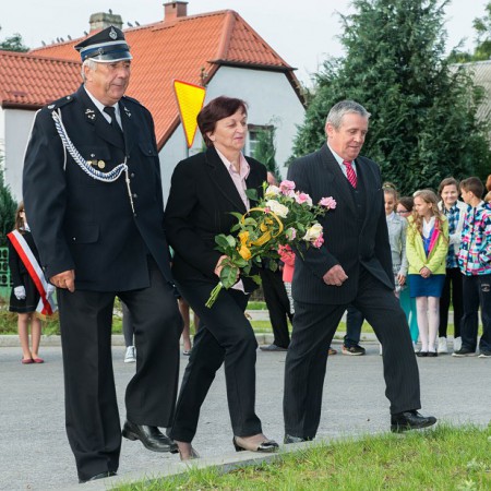 Wyświetl org. rozmiar