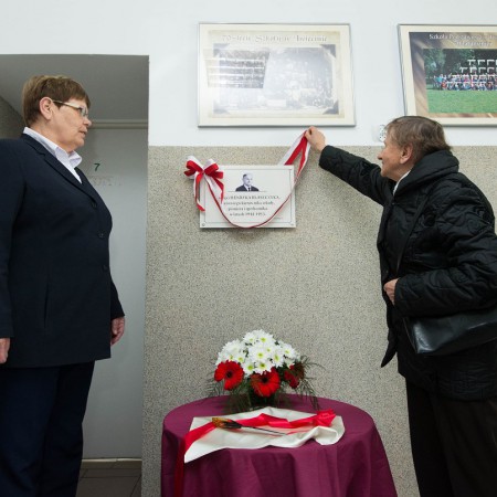 Wyświetl org. rozmiar