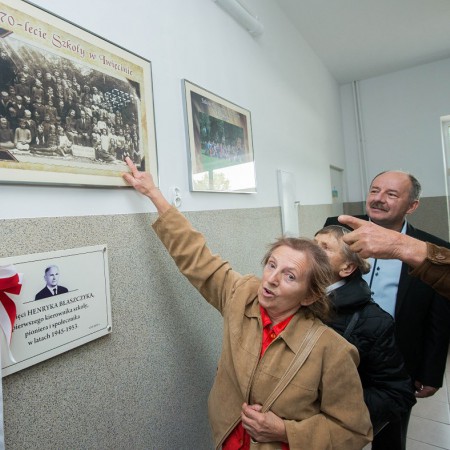 Wyświetl org. rozmiar
