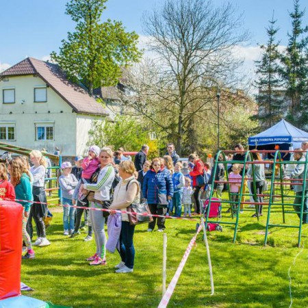 Wyświetl org. rozmiar