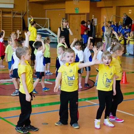 Wyświetl org. rozmiar