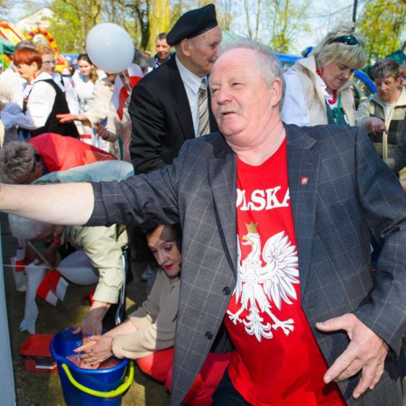 Wyświetl org. rozmiar