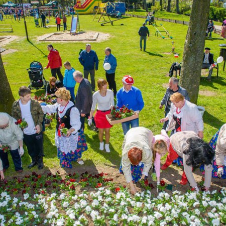 Wyświetl org. rozmiar