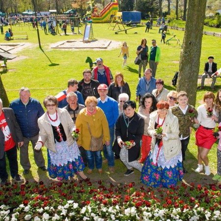 Wyświetl org. rozmiar