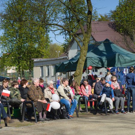 Wyświetl org. rozmiar
