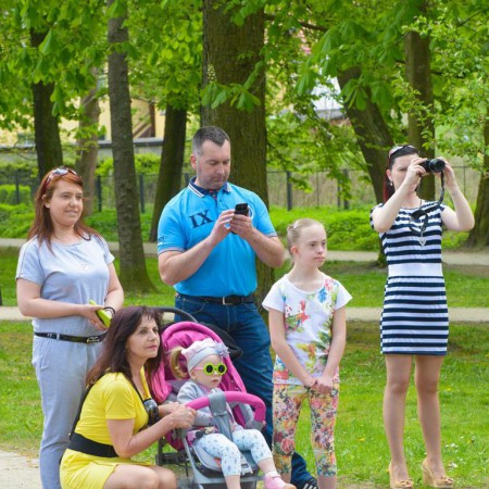Wyświetl org. rozmiar