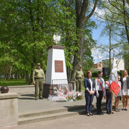 Wyświetl org. rozmiar