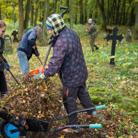 Wyświetl org. rozmiar