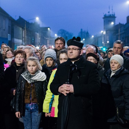 Wyświetl org. rozmiar