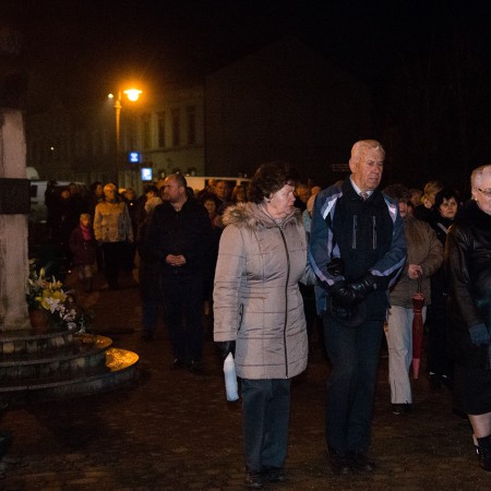 Wyświetl org. rozmiar