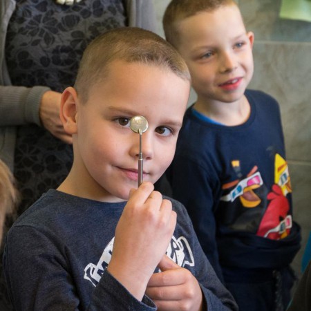 Wyświetl org. rozmiar