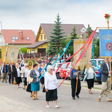 Wyświetl org. rozmiar